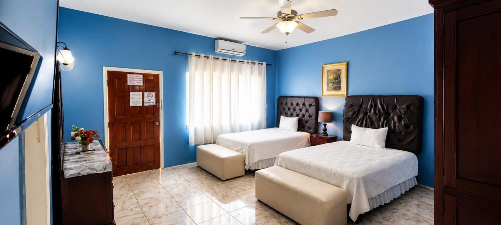 Deluxe Double or Twin Room with Pool Access